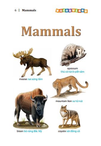 5500 từ vựng tiếng anh thông dụng nhất (bản màu) - tái bản