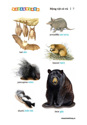 5500 từ vựng tiếng anh thông dụng nhất (bản màu) - tái bản