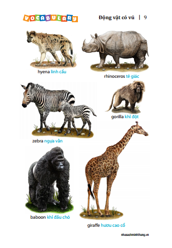 5500 từ vựng tiếng anh thông dụng nhất (bản màu) - tái bản