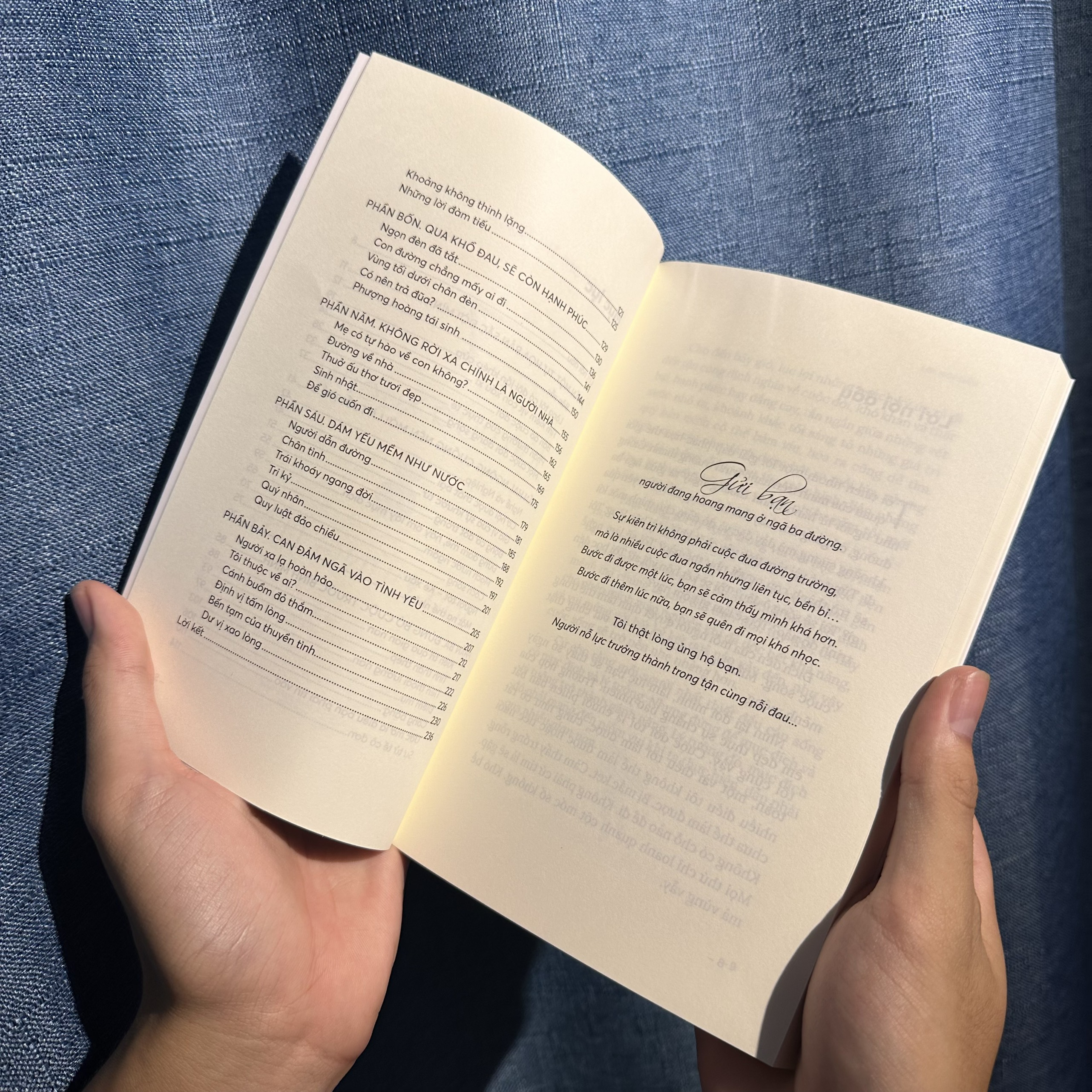 7 lần ngã xuống, 8 lần đứng lên