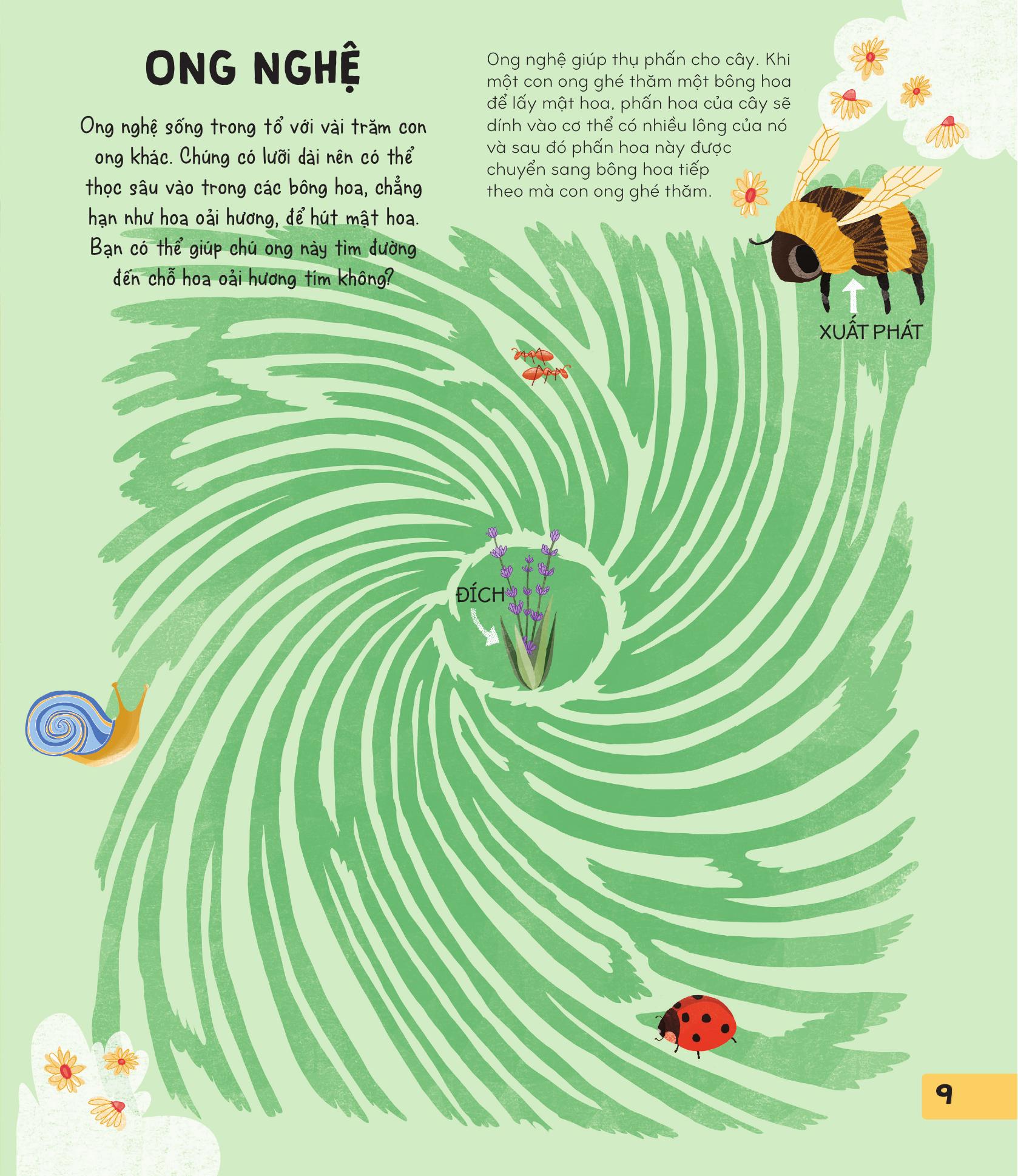 70++ trò chơi giúp em khám phá thế giới - mê cung