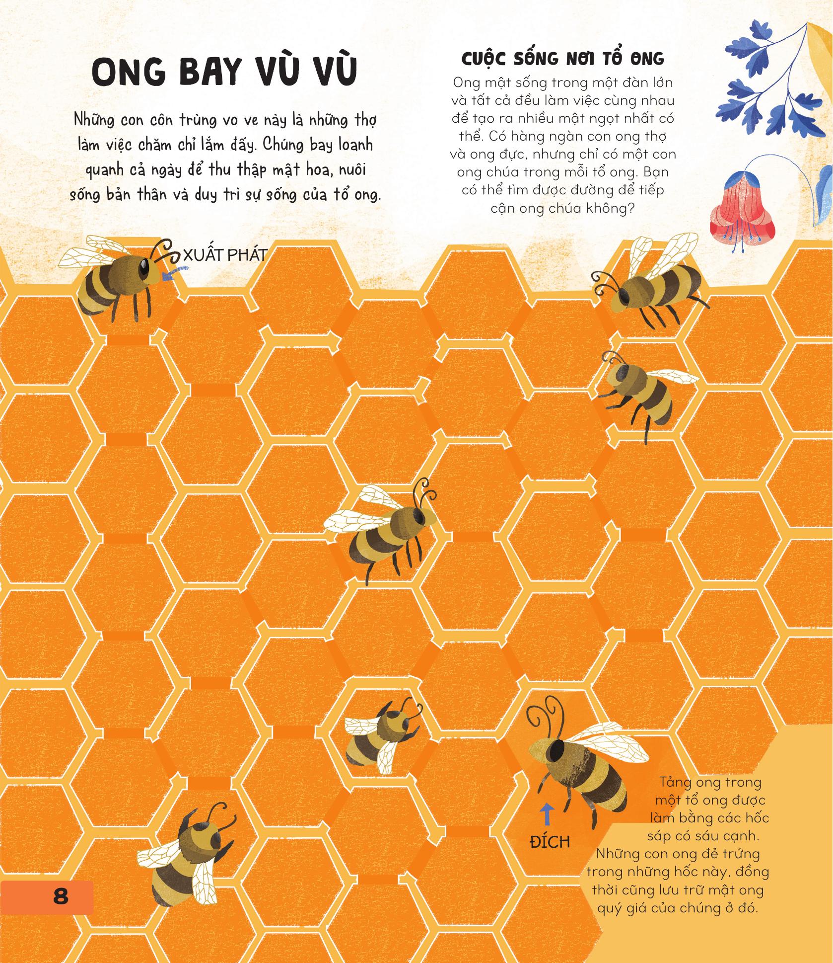 70++ trò chơi giúp em khám phá thế giới - mê cung