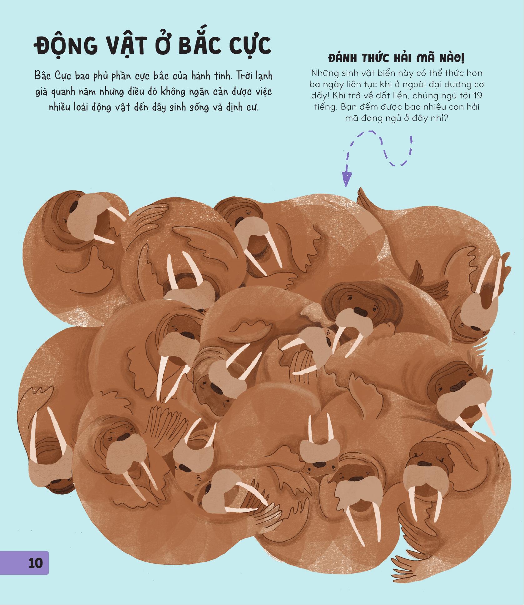 70++ trò chơi giúp em khám phá thế giới - thiên nhiên