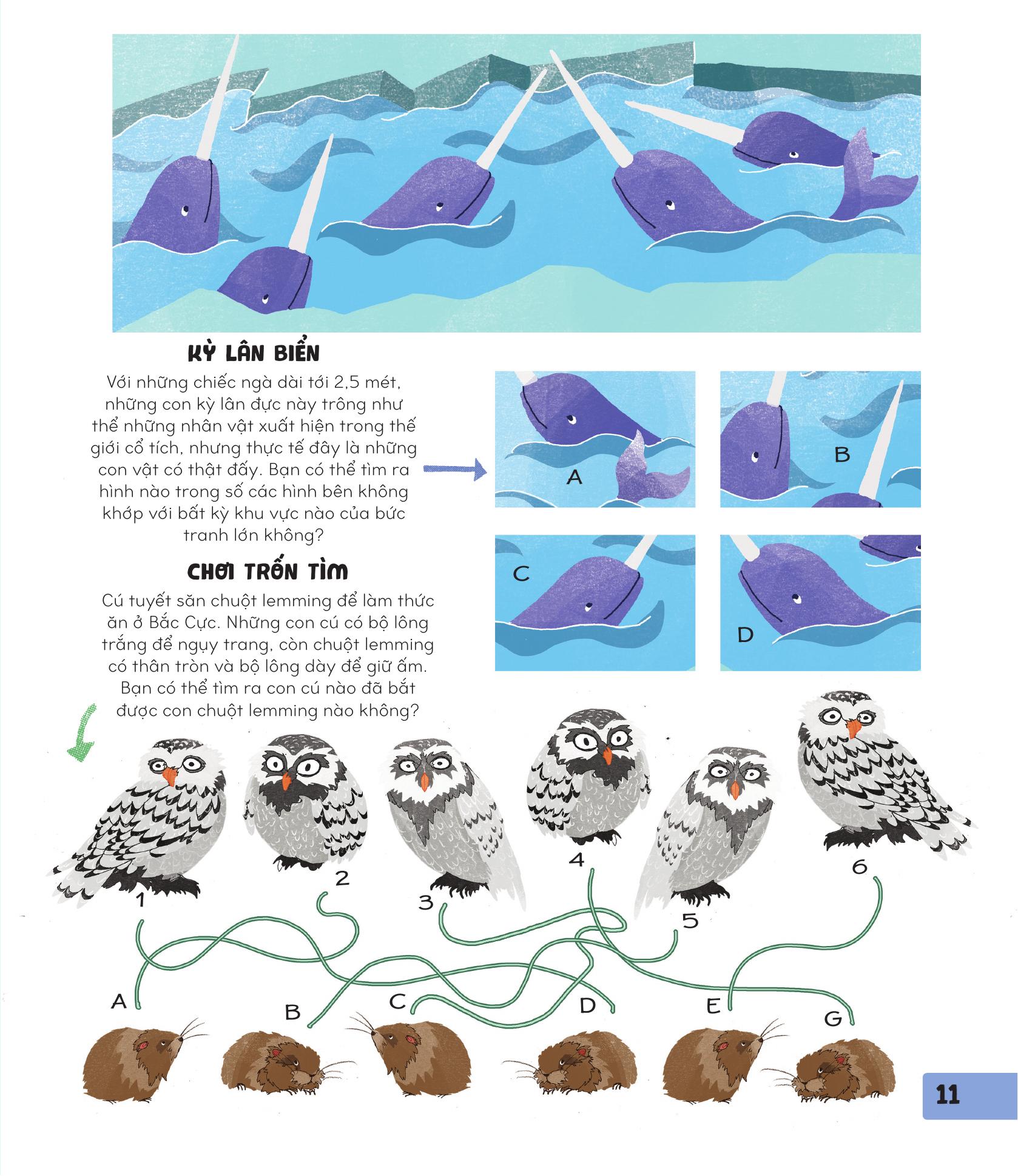 70++ trò chơi giúp em khám phá thế giới - thiên nhiên