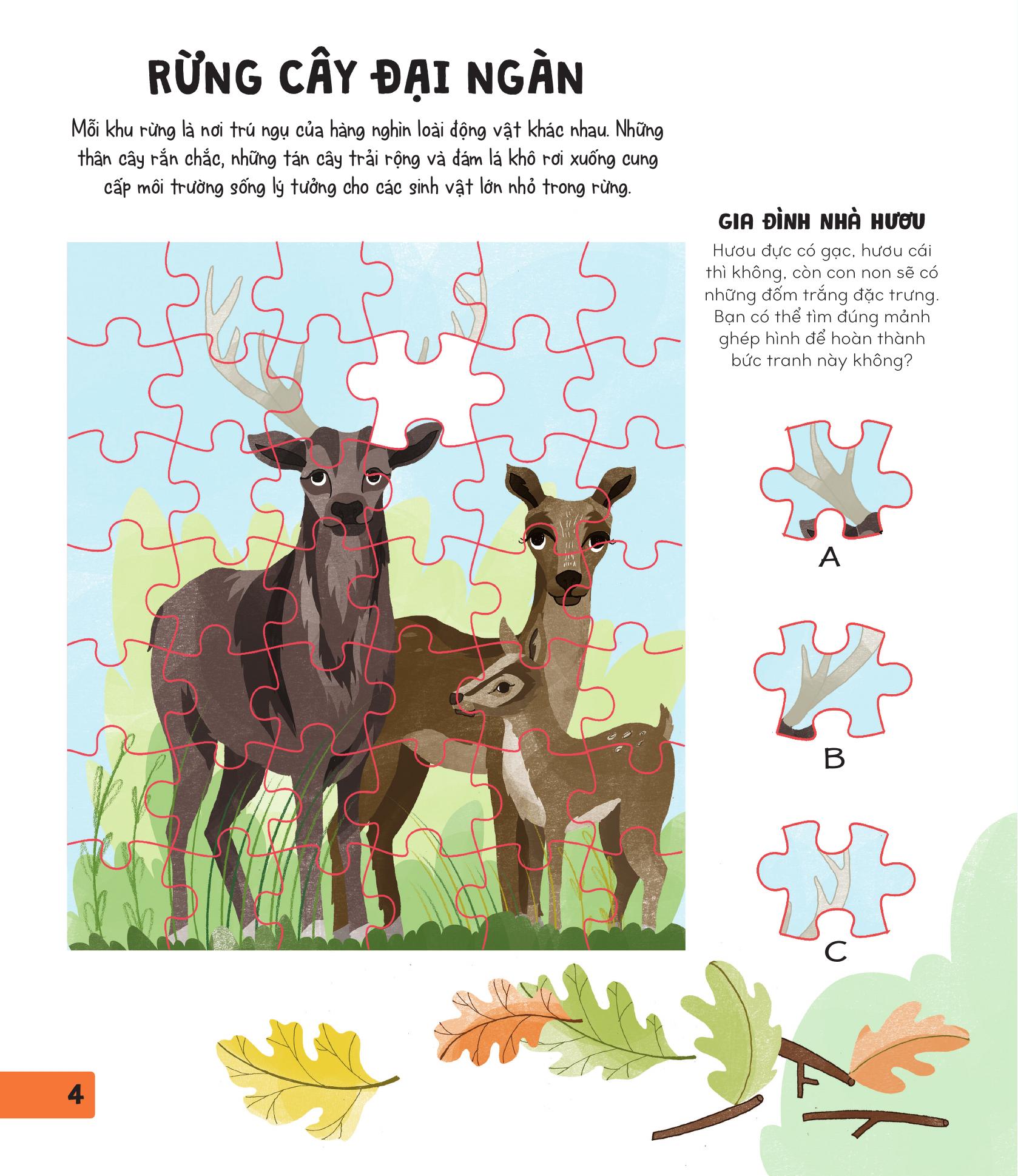 70++ trò chơi giúp em khám phá thế giới - thiên nhiên