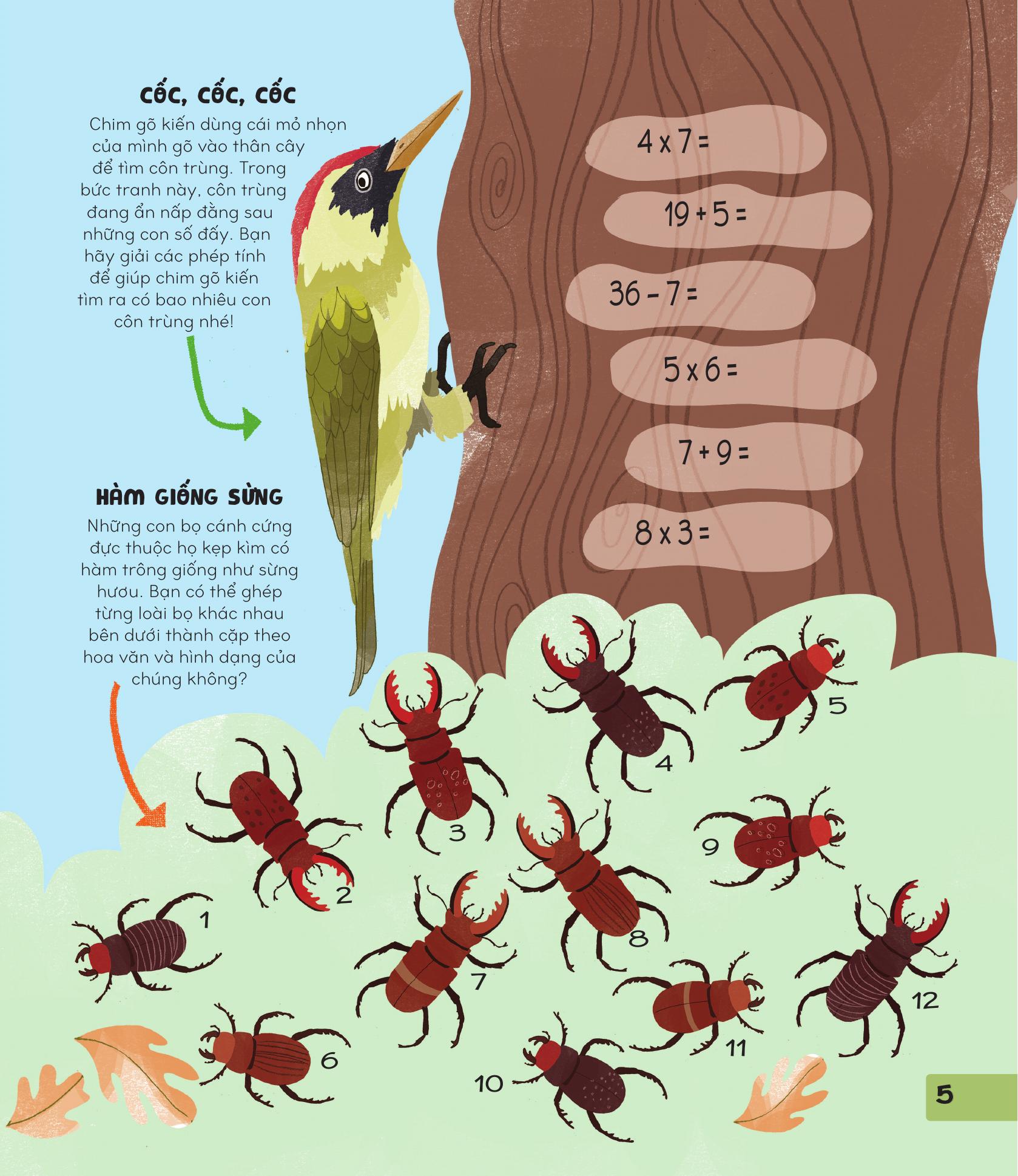 70++ trò chơi giúp em khám phá thế giới - thiên nhiên