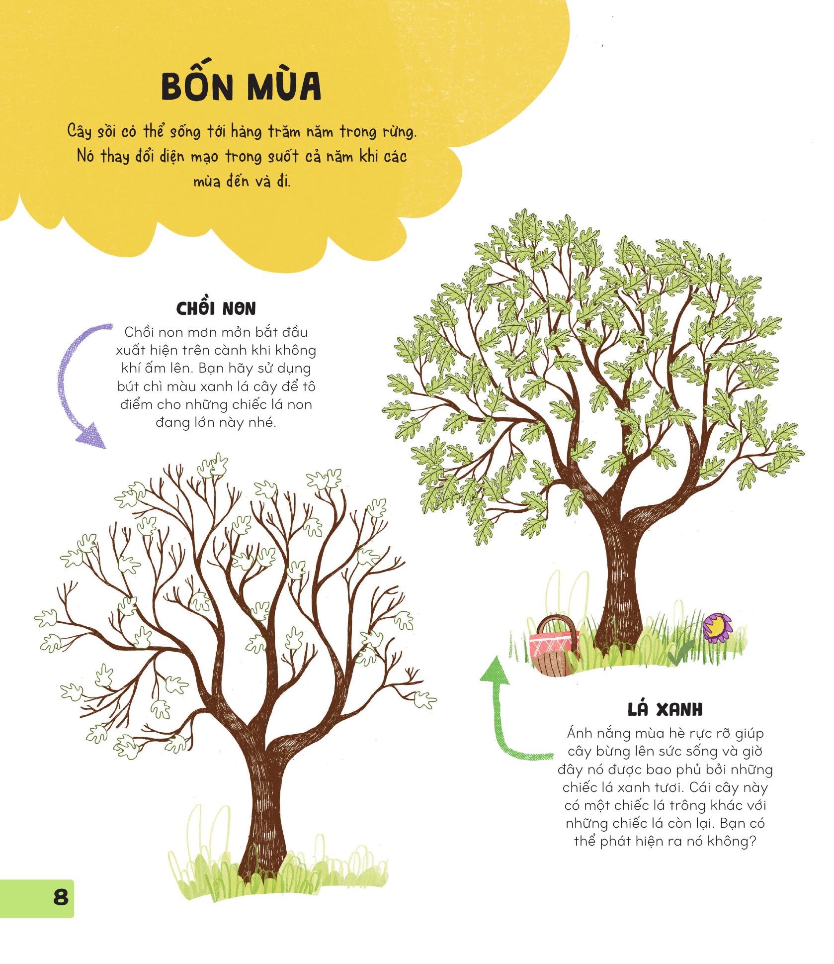 70++ trò chơi giúp em khám phá thế giới - thiên nhiên