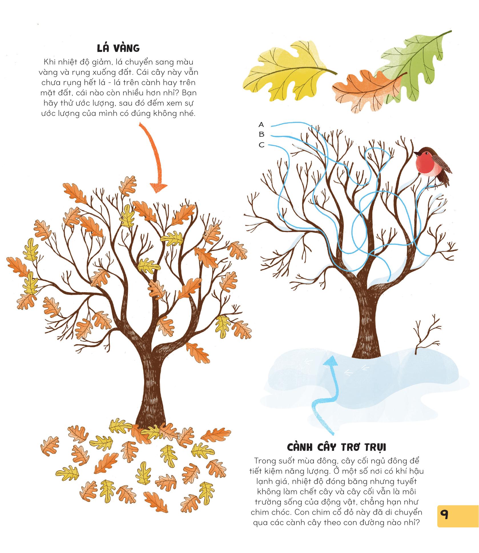 70++ trò chơi giúp em khám phá thế giới - thiên nhiên