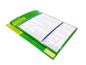 (8) english at a glance - giới thiệu khái quát về động từ tiếng anh