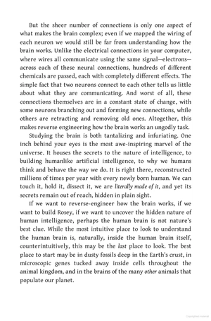 a brief history of intelligence