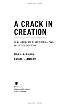 a crack in creation