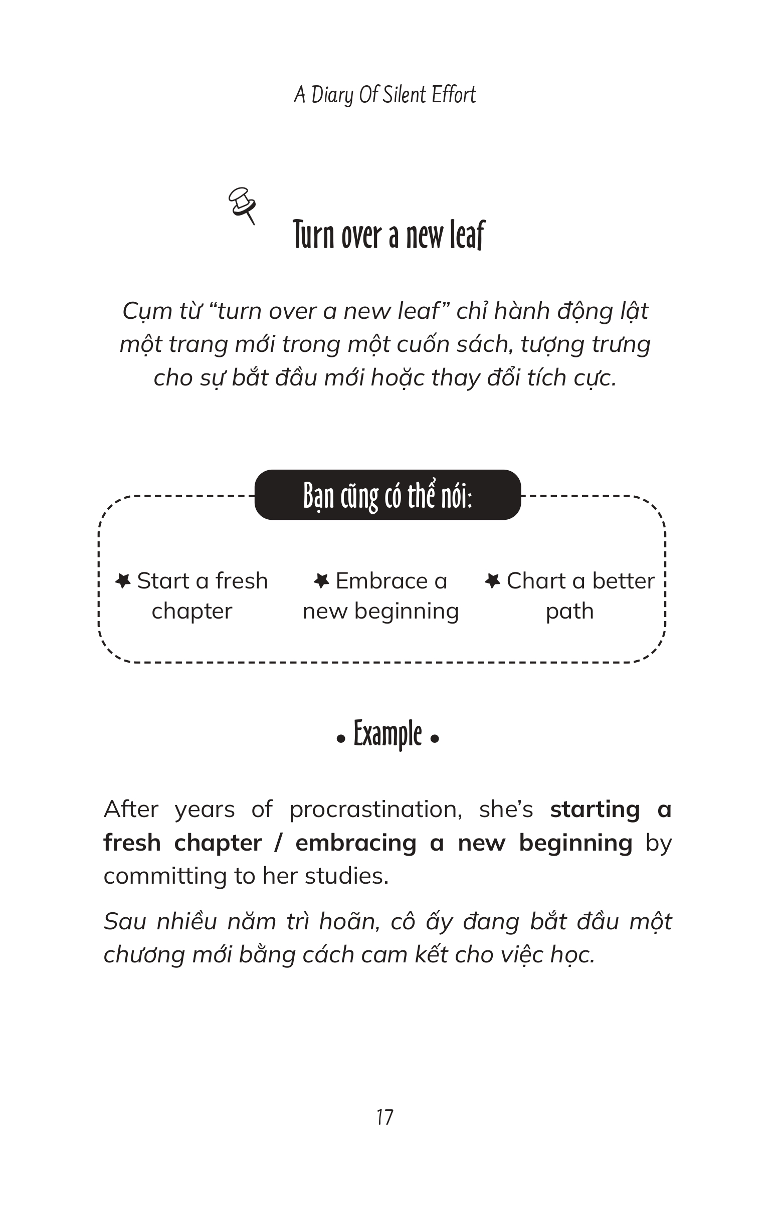 A Diary Of Silent Effort - Toi Thich Dang Ve No Luc Cua Chinh Minh - Song Ngu Viet-Anh