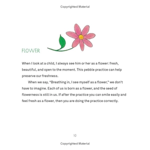 a handful of quiet: happiness in four pebbles