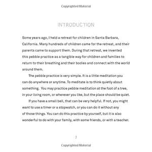 a handful of quiet: happiness in four pebbles