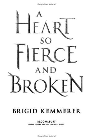 a heart so fierce and broken