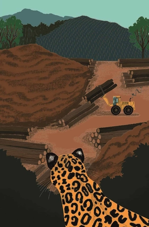 a ladybird book: climate change (hardcover)