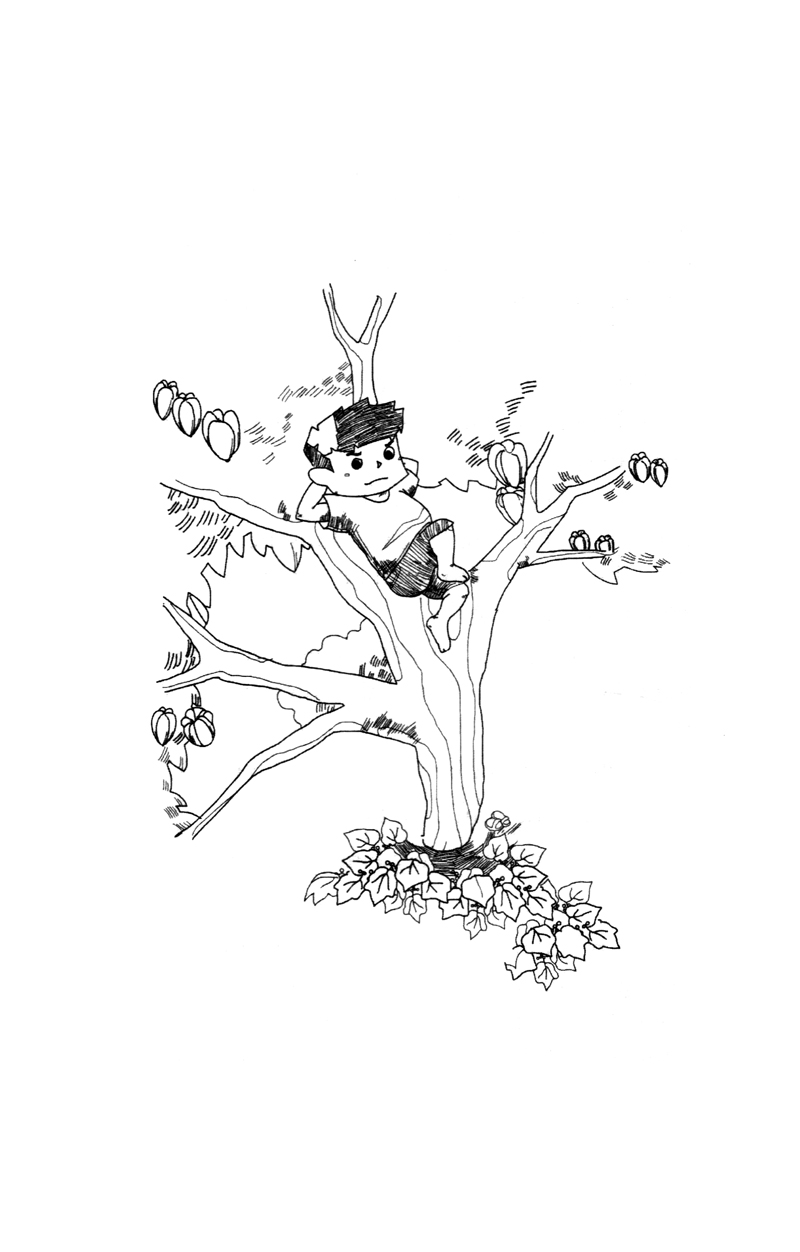 a lê hấp - ké xanh