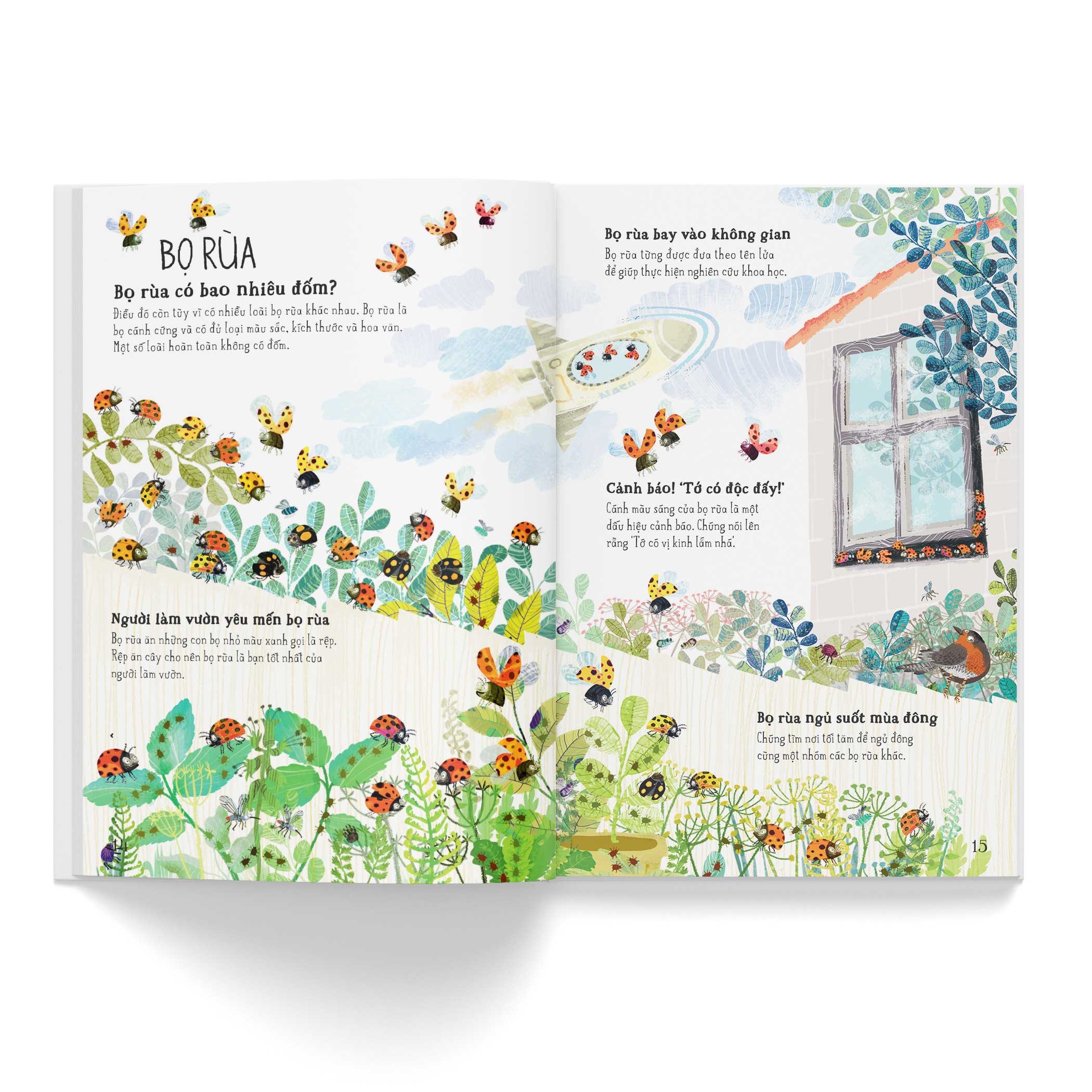 a lê hấp! thế giới bọ