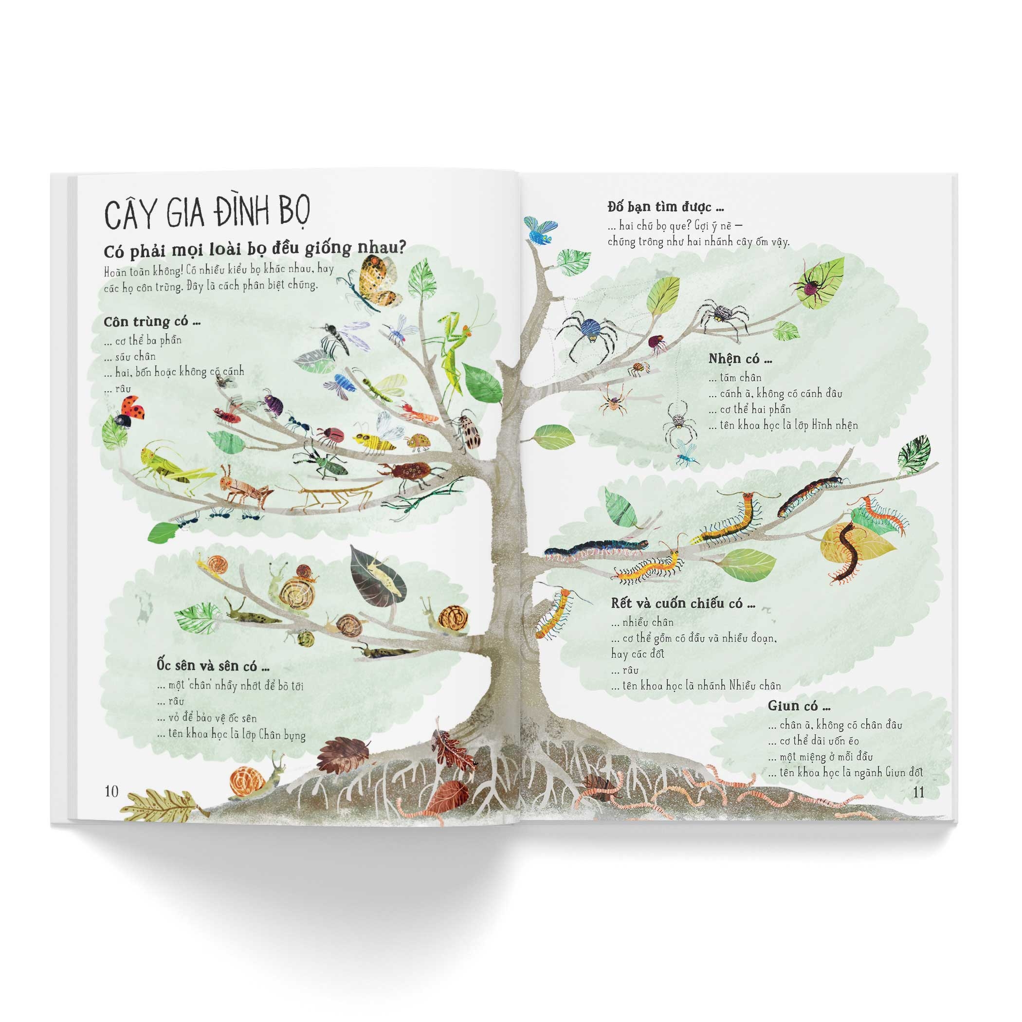 a lê hấp! thế giới bọ