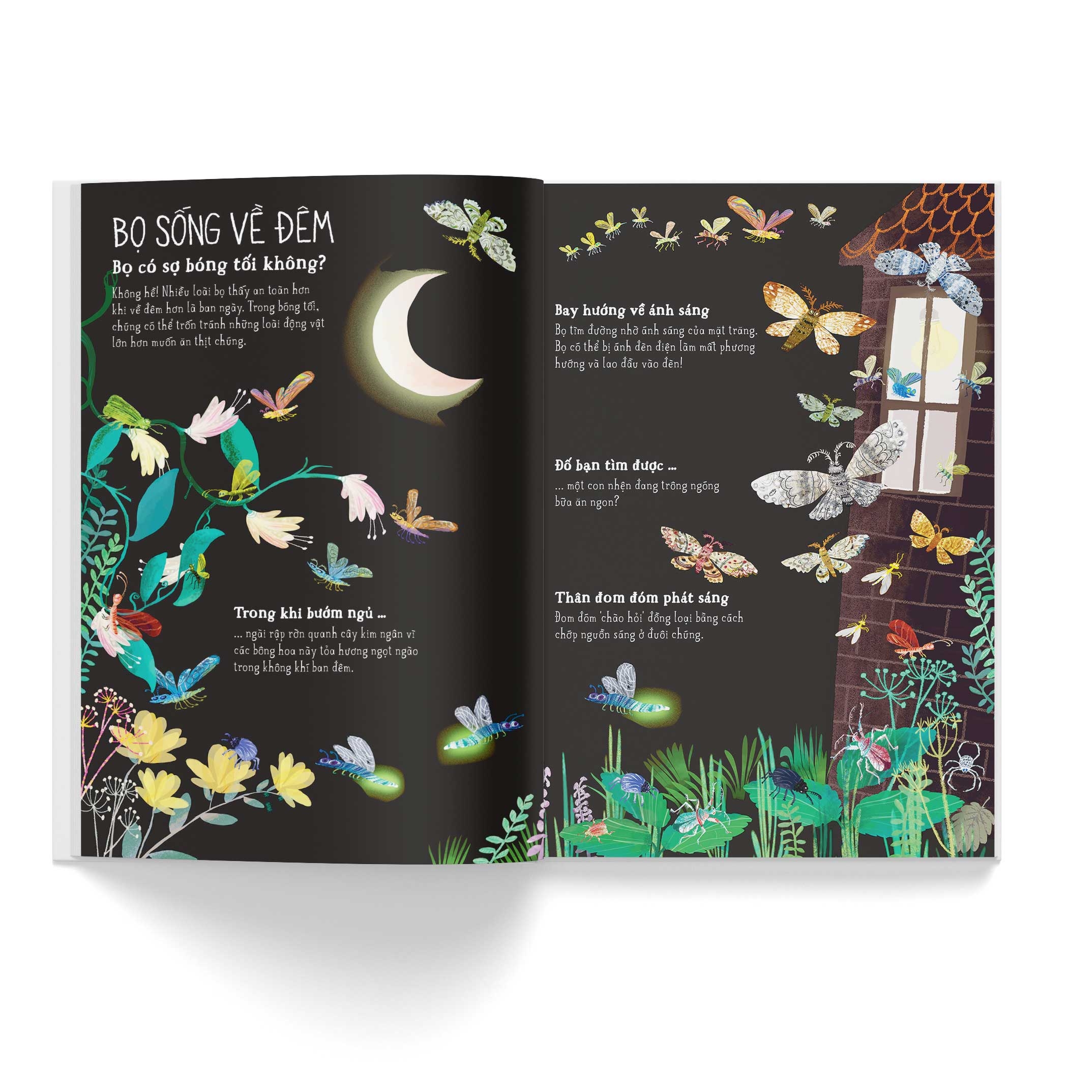 a lê hấp! thế giới bọ