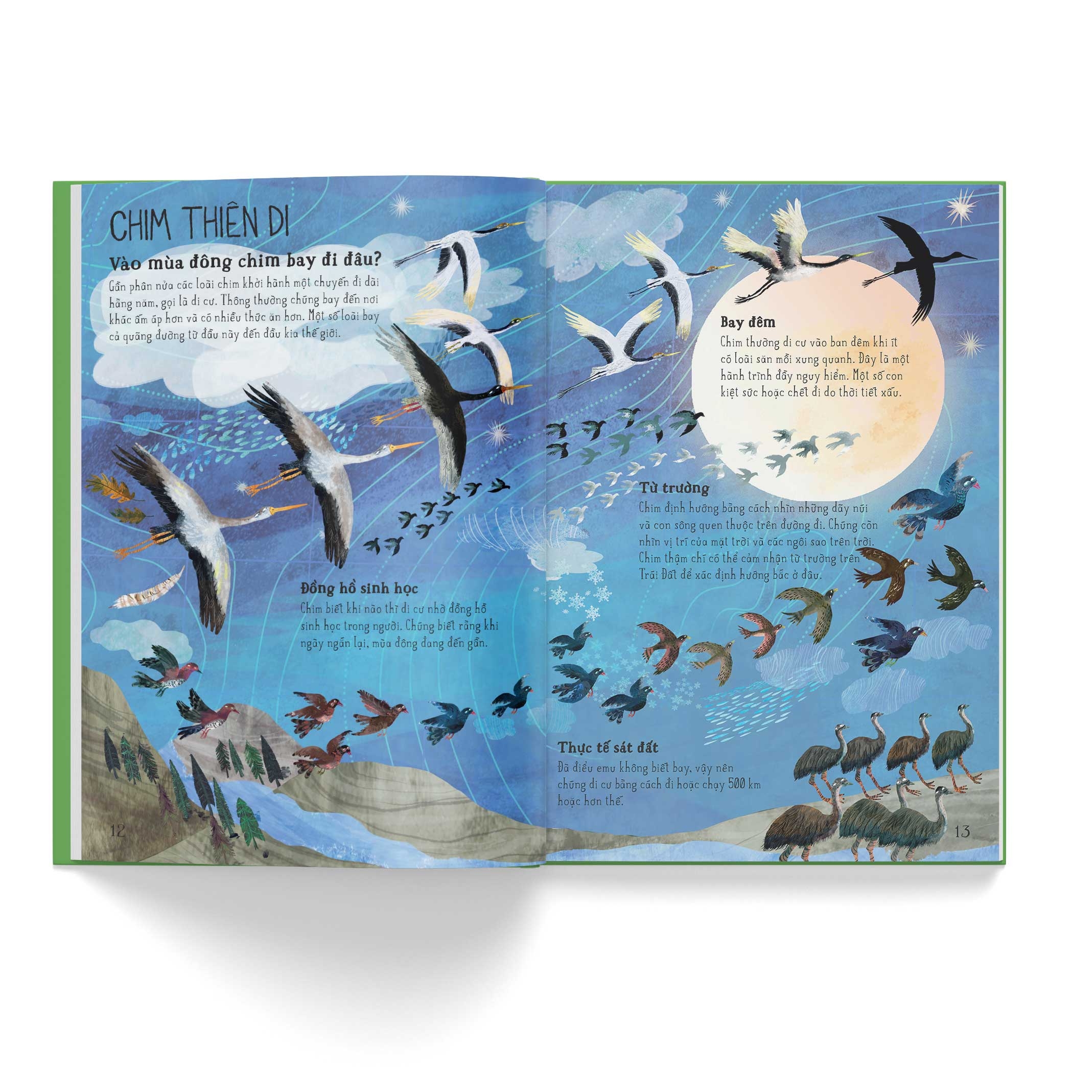 a lê hấp! thế giới chim