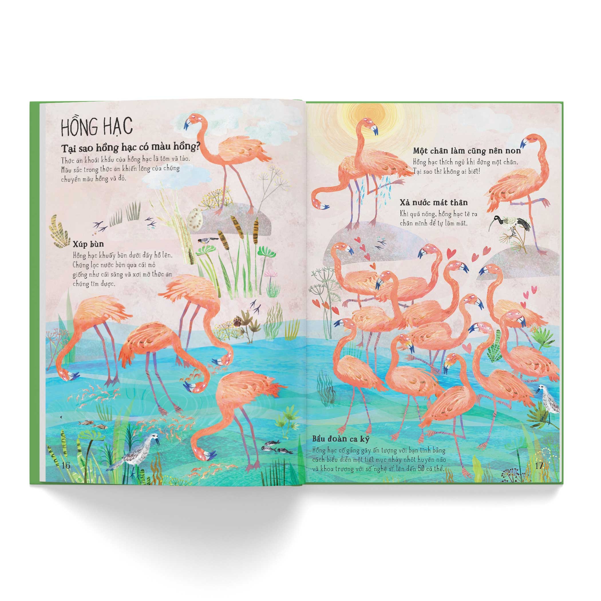 a lê hấp! thế giới chim