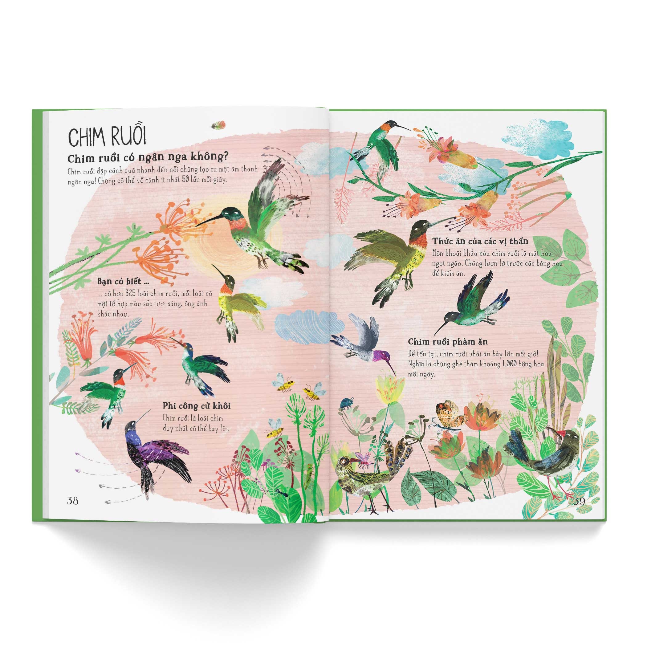 a lê hấp! thế giới chim