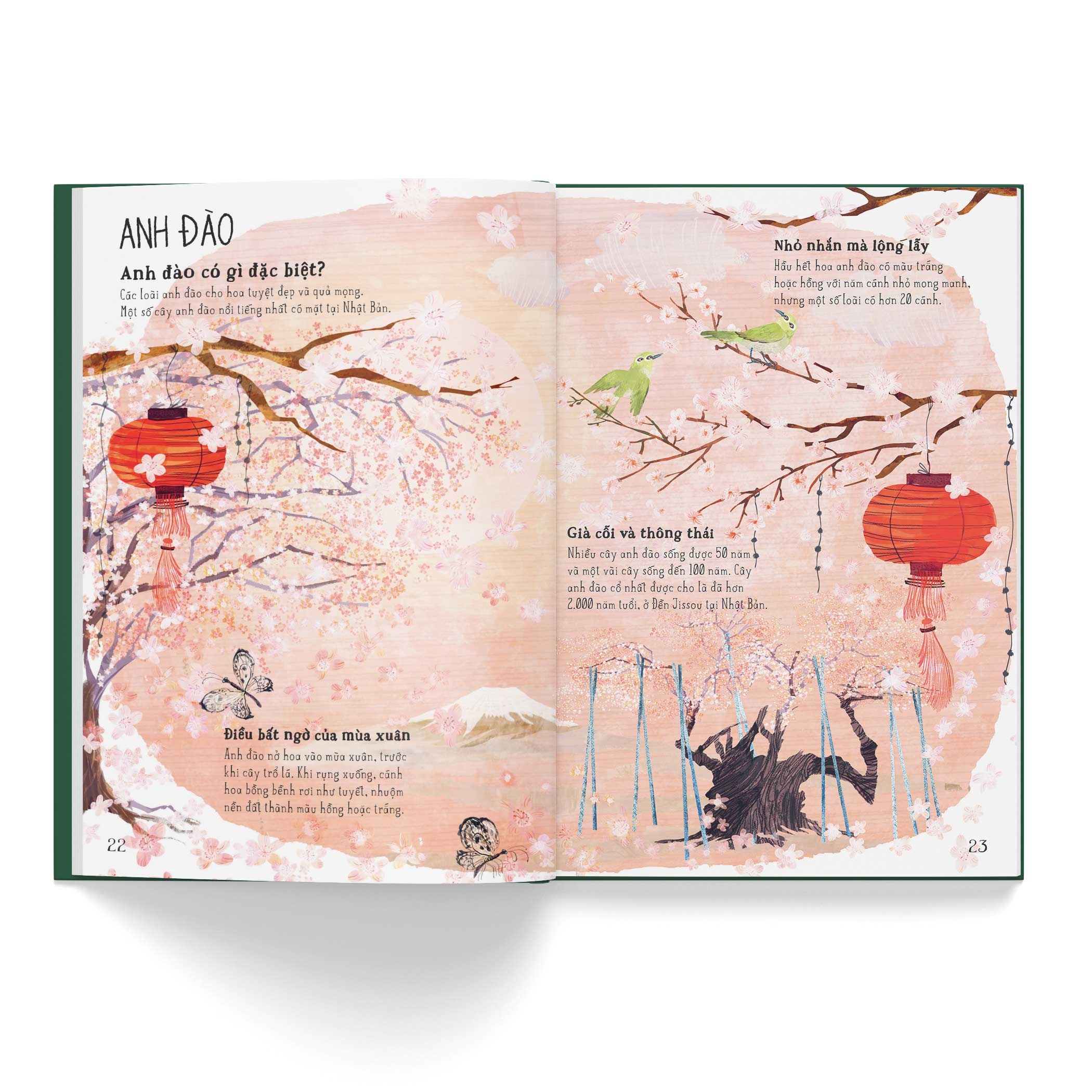 a lê hấp! thế giới hoa