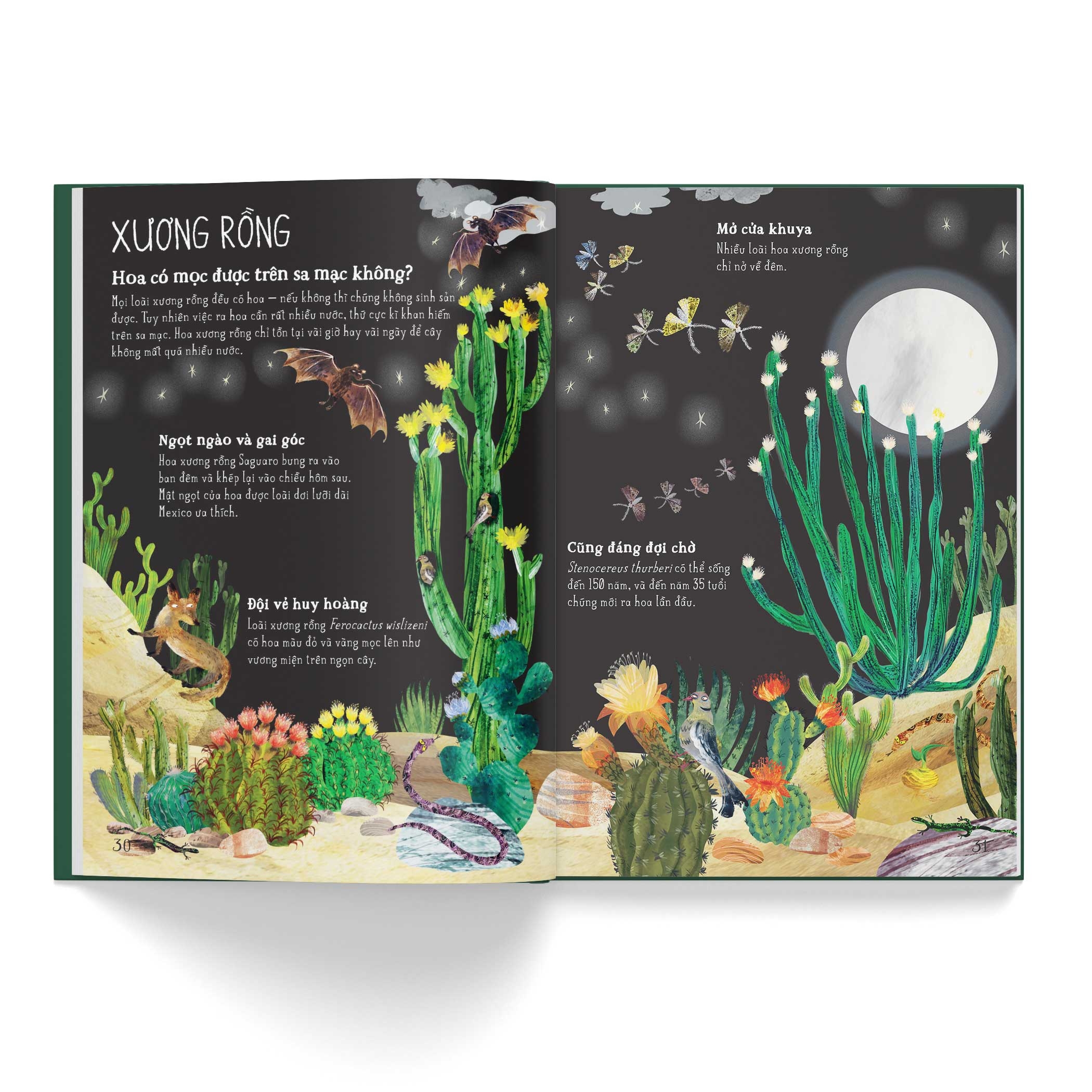 a lê hấp! thế giới hoa