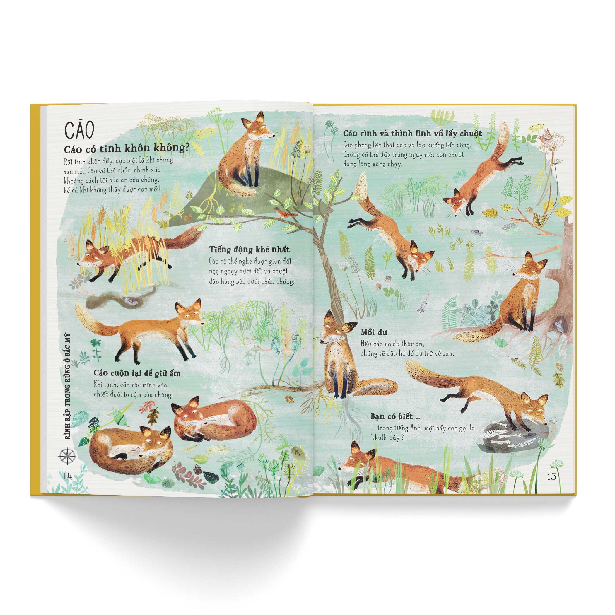 a lê hấp! thế giới thú dữ