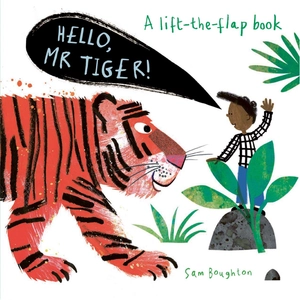 a lift the flat book - hello, mr tiger!