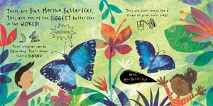 a lift the flat book - hello, mr tiger!