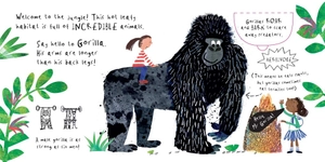 a lift the flat book - hello, mr tiger!