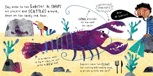 a lift the flat book - hello, mr whale!