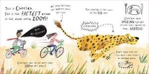 a lift the flat book - hello, mrs elephant!