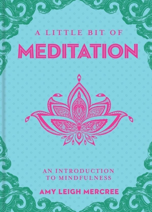 a little bit of meditation: an introduction to mindfulness