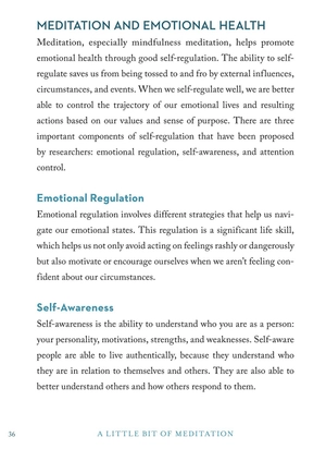 a little bit of meditation: an introduction to mindfulness