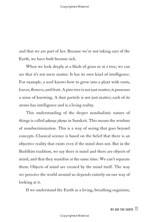 a love letter to the earth