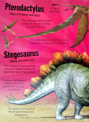 a mega sound book: roar! 10-button sound book