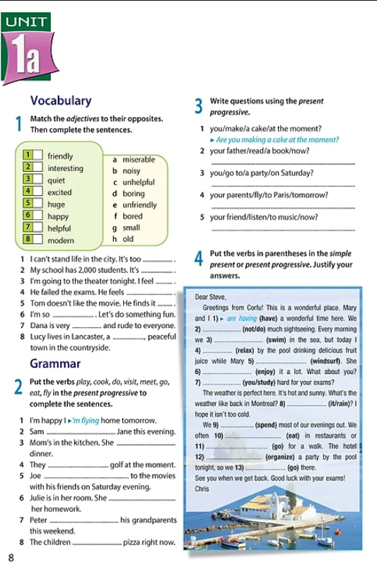 access grade 8 workbook