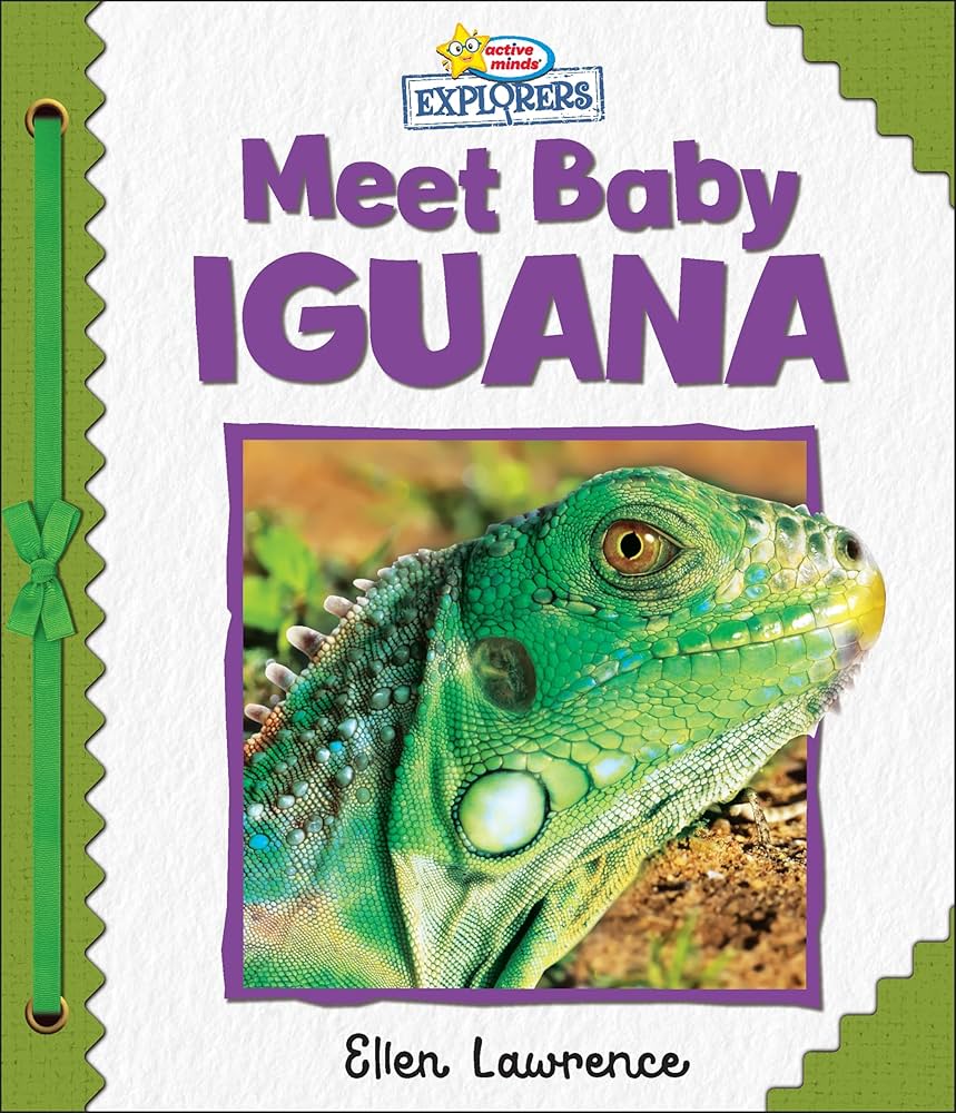 Active Minds Explorers - Meet Baby Iguana