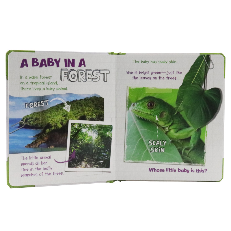 Active Minds Explorers - Meet Baby Iguana