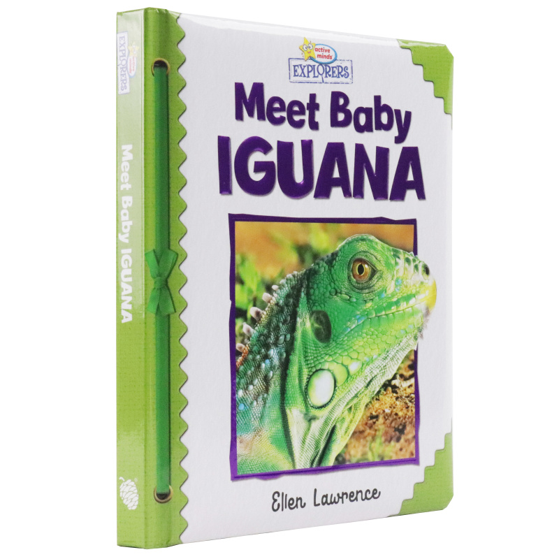 Active Minds Explorers - Meet Baby Iguana