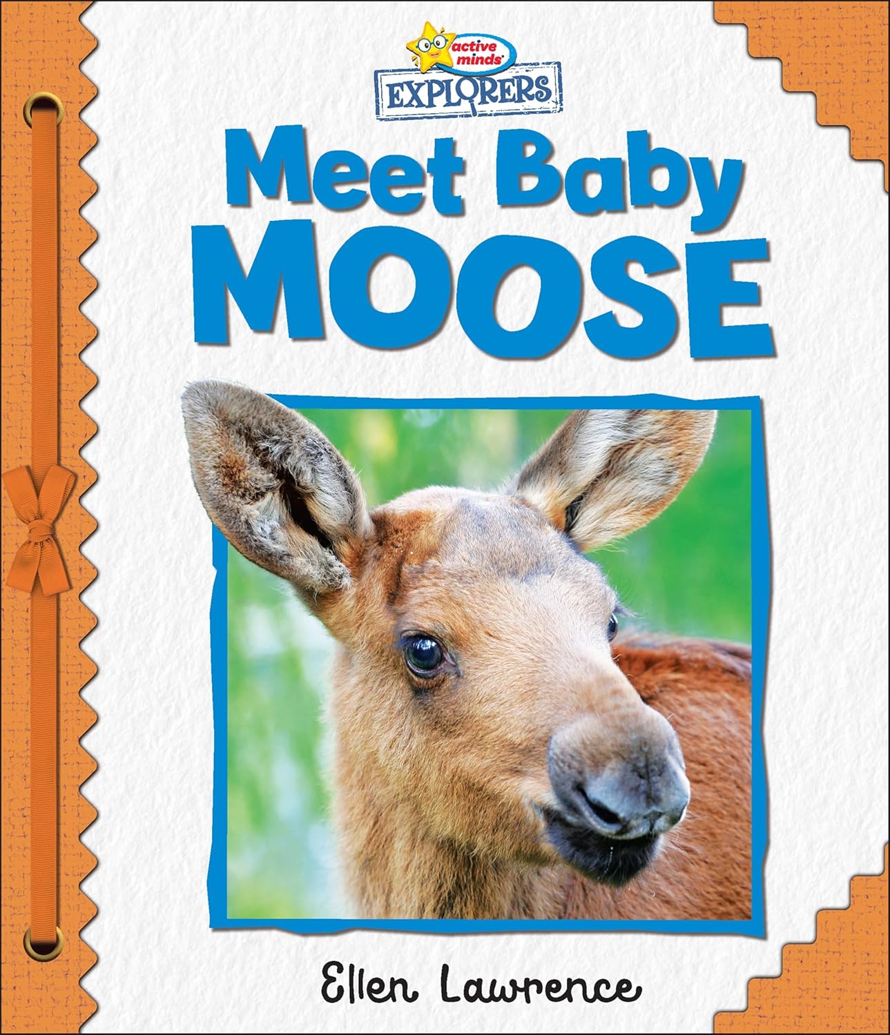 Active Minds Explorers - Meet Baby Moose