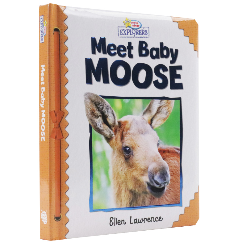 Active Minds Explorers - Meet Baby Moose