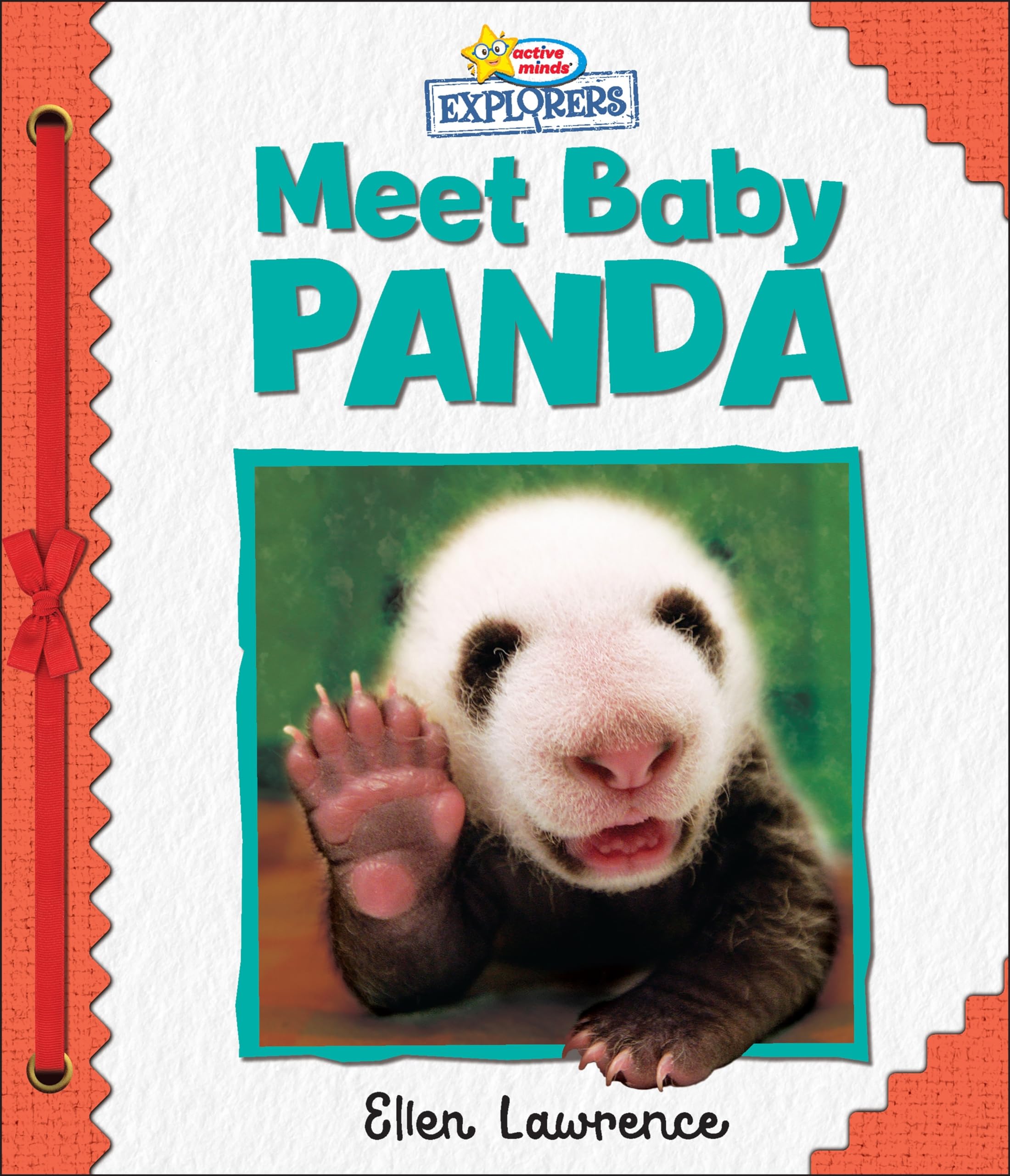 Active Minds Explorers - Meet Baby Panda