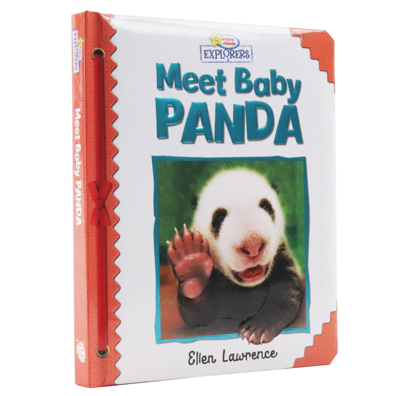 Active Minds Explorers - Meet Baby Panda
