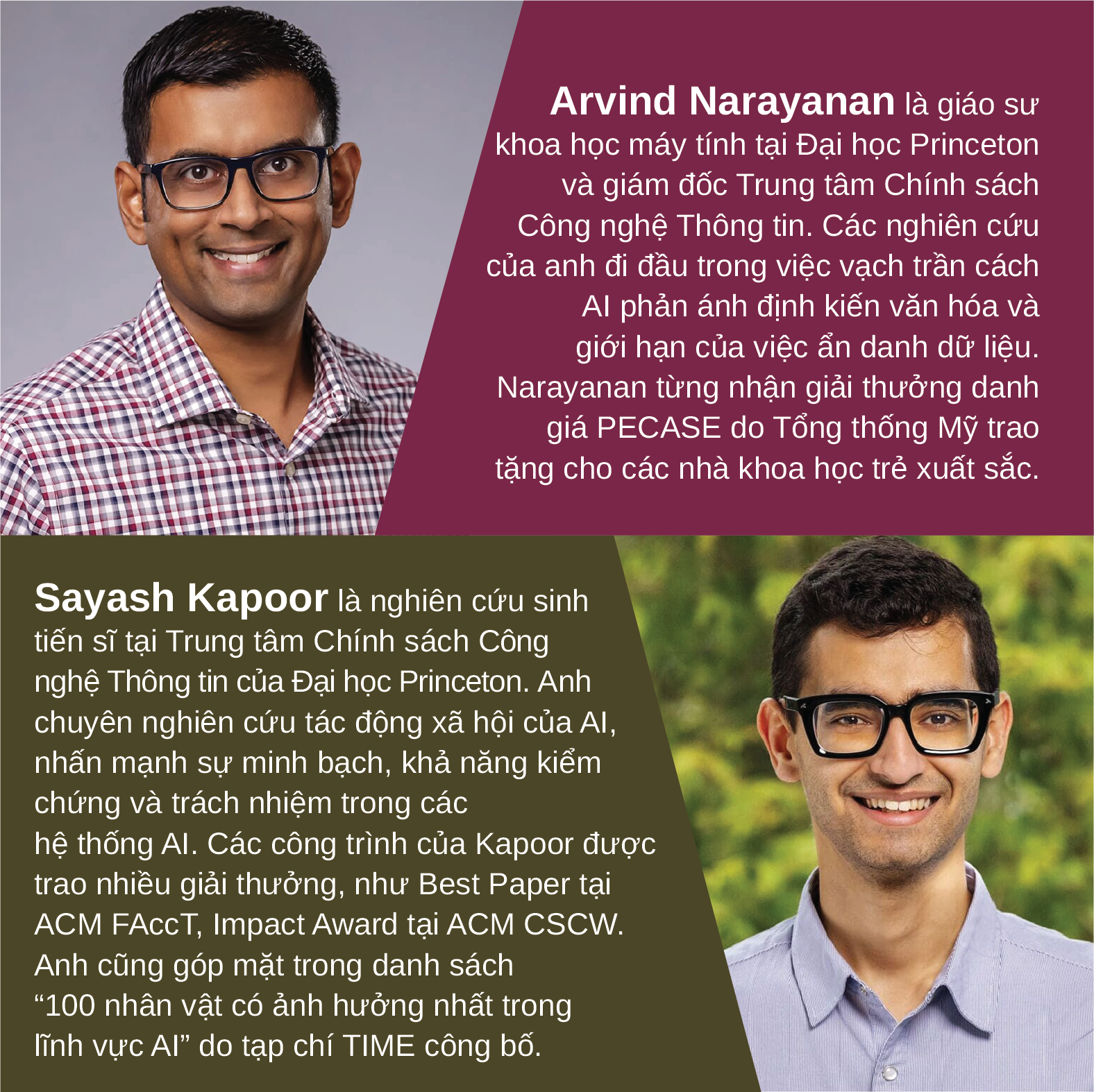 AI - Lợi và Hại - AI Snake Oil