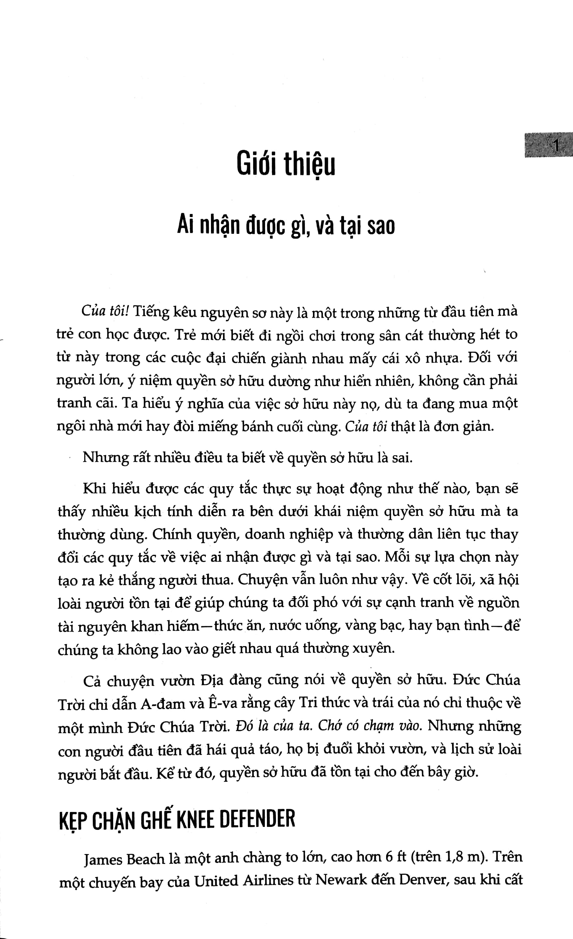 ai sở hữu gì và tại sao - 6 quy tắc ẩn về quyền sở hữu chi phối toàn bộ cuộc sống của chúng ta