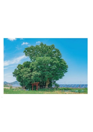 akine coco 写真作品集 アニメのワンシーンのように。- akine coco photograph collection like a scene from an anime